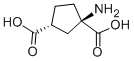 (1R,3R)-1-AMINOCYCLOPENTANE-1,3-DICARBOXYLIC ACID CAS#: 111900-33-5