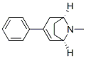 (1R,5S)-8-Methyl-3-phenyl-8-azabicyclo[3.2.1]oct-2-ene CAS#: 17814-96-9
