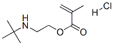 2-[(1,1-dimethylethyl)amino]ethyl methacrylate hydrochloride CAS#: 23158-89-6