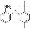 2-(2-tert-butyl-5-methylphenoxy)aniline CAS#: 20349-42-2