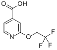 2-(2,2,2-Trifluoroethoxy)-4-pyridinecarboxylicacid CAS#: 262296-01-5