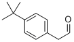 2-(4-TERT-BUTYLPHENYL)ACETALDEHYDE CAS#: 109347-45-7