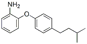 2-(4-isopentylphenoxy)aniline CAS#: 23838-75-7