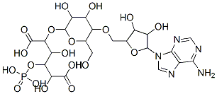 2-[5-[[5-(6-aminopurin-9-yl)-3,4-dihydroxy-oxolan-2-yl]methoxy]-3,4-di hydroxy-6-(hydroxymethyl)oxan-2-yl]oxy-3,5-dihydroxy-4-phosphonooxy-he xanedioic acid CAS#: 23526-02-5