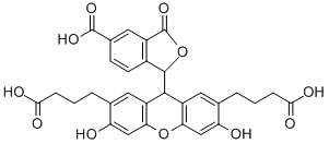 2' 7'-BIS(3-CARBOXYPROPYL)-5(6)-CARBOXY- CAS#: 202872-98-8
