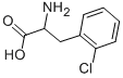 2-AMINO-3-(2-CHLORO-PHENYL)-PROPIONIC ACID CAS#: 14091-11-3