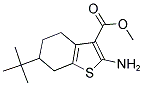 2-AMINO-6-TERT-BUTYL-4,5,6,7-TETRAHYDRO-BENZO[B]THIOPHENE-3-CARBOXYLIC ACID METHYL ESTER CAS#: 213192-26-8