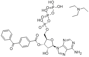 2'- AND 3'-O-(4-BENZOYLBENZOYL)-ADENOSINE 5'-TRIPHOSPHATE TRIETHYLAMMONIUM SALT CAS#: 112898-15-4