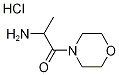 2-Amino-1-(4-morpholinyl)-1-propanonehydrochloride CAS#: 24152-98-5