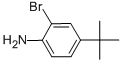 2-BROMO-4-TERT-BUTYLANILINE CAS#: 103273-01-4