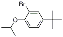 2-BroMo-4-t-butyl-1-isopropoxybenzene CAS#: 223768-39-6