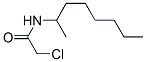 2-CHLORO-N-(1-METHYLHEPTYL)ACETAMIDE CAS#: 23602-04-2