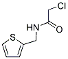 2-CHLORO-N-(2-THIENYLMETHYL)ETHANAMIDE CAS#: 21403-27-0
