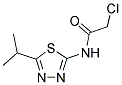 2-CHLORO-N-(5-ISOPROPYL-[1,3,4]THIADIAZOL-2-YL)-ACETAMIDE CAS#: 15777-41-0