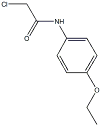 2-Chloro-p-acetophenetidide CAS#: 2153-08-4
