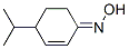 2-Cyclohexen-1-one,4-(1-methylethyl)-,oxime(9CI) CAS#: 215456-39-6