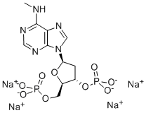 2'-DEOXY-N6-METHYLADENOSINE 3',5'-BISPHOSPHATE TETRAAMMONIUM SALT CAS#: 101204-49-3
