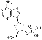 2'-DEOXYADENOSINE-3'-MONOPHOSPHATE CAS#: 15731-72-3