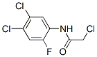 2'-Fluoro-2,4',5'-trichloroacetanilide CAS#: 23554-66-7