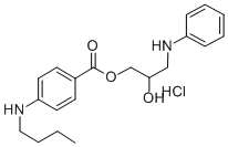 2-Hydroxy-3-(phenylamino)propyl p-(butylamino)benzoate hydrochloride CAS#: 100311-25-9