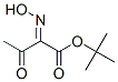 2-(Hydroxyimino)acetoacetic acid tert-butyl ester CAS#: 14352-65-9