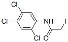 2-Iodo-N-(2,4,5-trichlorophenyl)acetamide CAS#: 19889-60-2