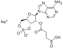 2'-O-MONOSUCCINYLADENOSINE-3',5'-CYCLIC MONOPHOSPHATE SODIUM SALT CAS#: 104809-11-2