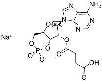 2'-O-MONOSUCCINYLADENOSINE-3',5'-CYCLIC MONOPHOSPHATE SODIUM SALT CAS#: 104809-23-6