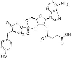 2'-O-MONOSUCCINYLADENOSINE 3':5'-CYCLIC MONOPHOSPHATE TYROSYL METHYL ESTER CAS#: 104809-08-7