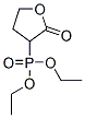 (2-Oxotetrahydrofuran-3-yl)phosphonic acid diethyl ester CAS#: 2907-85-9