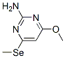 2-Pyrimidinamine, 4-methoxy-6-(methylseleno)- (9CI) CAS#: 100559-66-8
