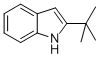 2-TERT-BUTYL-1H-INDOLE CAS#: 1805-65-8