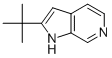 2-TERT-BUTYL-1H-PYRROLO[2,3-C]PYRIDINE CAS#: 113975-42-1