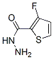 2-Thiophenecarboxylicacid,3-fluoro-,hydrazide(9CI) CAS#: 258522-49-5