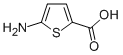 2-Thiophenecarboxylicacid,5-amino- CAS#: 204068-72-4