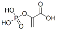 2-dihydroxyphosphinoyloxyacrylic acid CAS#: 138-08-9