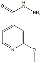 2-methoxyisonicotinohydrazide CAS#: 19353-97-0