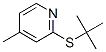 2-(tert-Butylthio)-4-methylpyridine CAS#: 18794-36-0