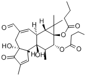 20-OXO-20-DEOXYPHORBOL 12,13-DIBUTYRATE CAS#: 100930-03-8