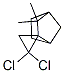 2',2'-dichloro-3,3-dimethylspiro[bicyclo[2.2.1]heptane-2,1'-cyclopropane] CAS#: 15210-30-7