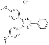 2,3-BIS(4-METHOXYPHENYL)-5-PHENYLTETRAZOLIUM CHLORIDE CAS#: 104497-79-2