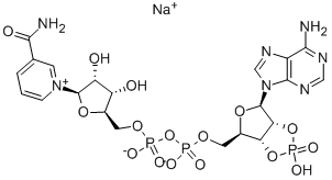 2':3'-CYCLIC NADP SODIUM SALT CAS#: 100929-77-9