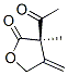 2(3H)-Furanone, 3-acetyldihydro-3-methyl-4-methylene-, (3R)- (9CI) CAS#: 220308-40-7