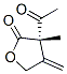 2(3H)-Furanone, 3-acetyldihydro-3-methyl-4-methylene-, (3S)- (9CI) CAS#: 220308-41-8