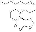2(3H)-Furanone,3-aminodihydro-(8CI,9CI) CAS#: 1192-20-7