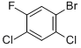 2,4-DICHLORO-5-FLUOROBROMOBENZENE CAS#: 1481-63-6