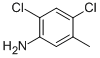 2,4-DICHLORO-5-METHYL-PHENYLAMINE CAS#: 17601-75-1