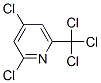 2,4-Dichloro-6-(trichloromethyl)pyridine CAS#: 1129-19-7