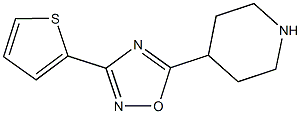 4-[3-(THIEN-2-YL)-1,2,4-OXADIAZOL-5-YL]PIPERIDINE CAS#: 244272-35-3