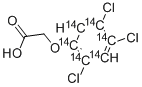 2,4,5-TRICHLOROPHENOXY-ACETIC ACID-RING-UL-14C CAS#: 104873-01-0